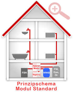 Prinzipschema Modul Standard Plus