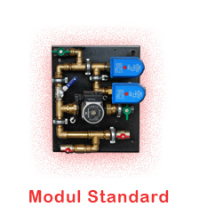 Modul Standard